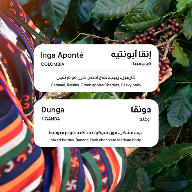 باقة دونقا وإنقا آبونتيه