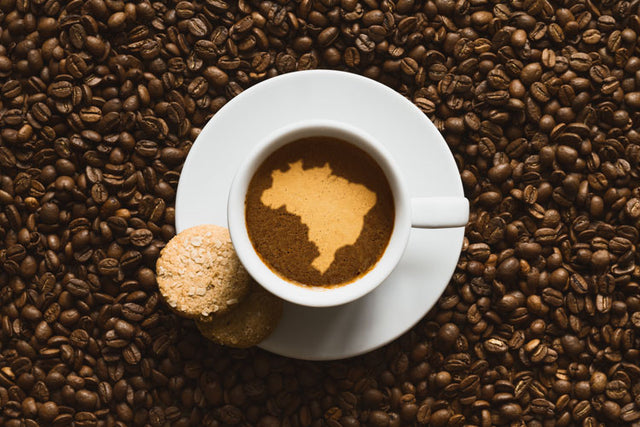 القهوة والبرازيل – علاقةٌ وطيدة