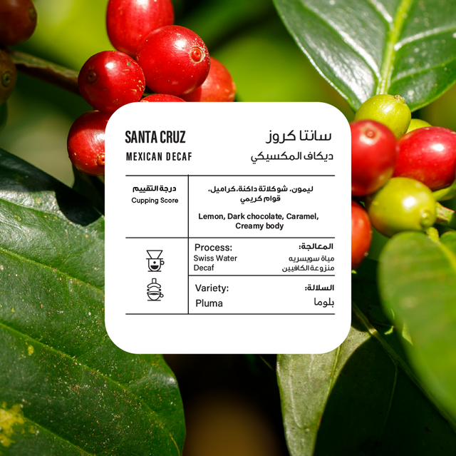 SANTA CRUZ - DECAF